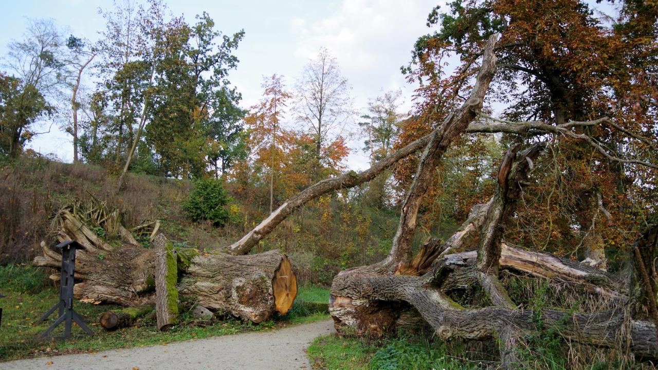 Palac Komierowo Sepolno Krajenskie Exterior foto